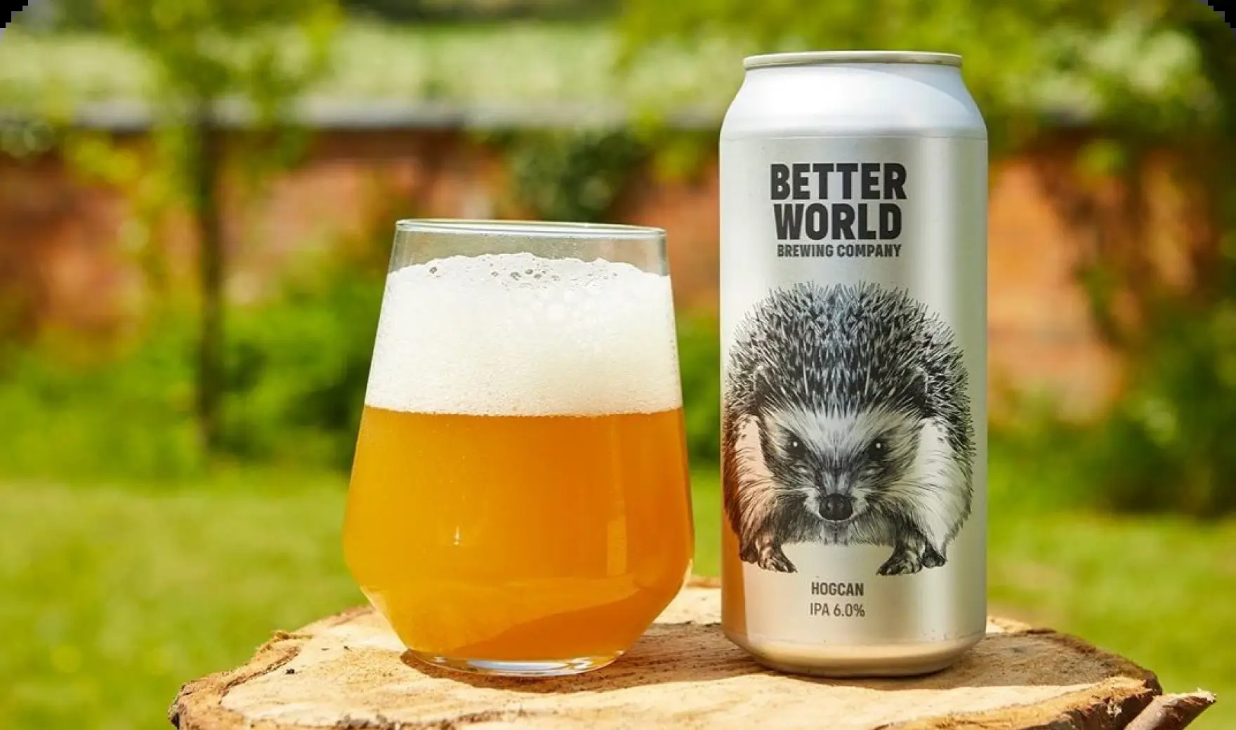 Better World Brewing